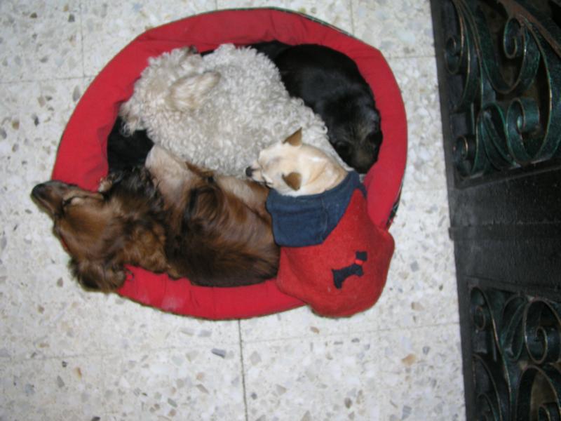 pc140225.jpg pc140225.jpg