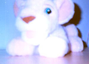 opr0001C.jpg opr0001C.jpg