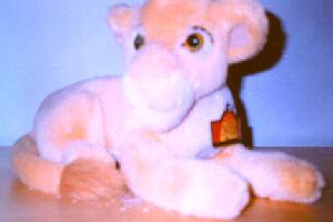 opr0001J.jpg opr0001J.jpg