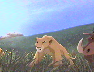 Nala12.jpg Nala12.jpg