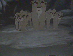 ZiraVita2.jpg ZiraVita2.jpg