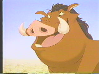 Pumbaa5.jpg Pumbaa5.jpg