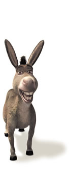 shrekBurro02.jpg