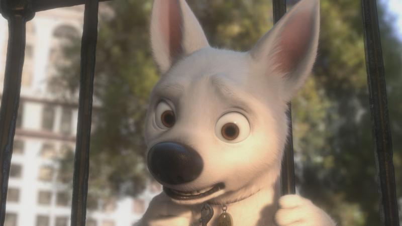 bolt-bd-ss-1.jpg bolt-bd-ss-1.jpg