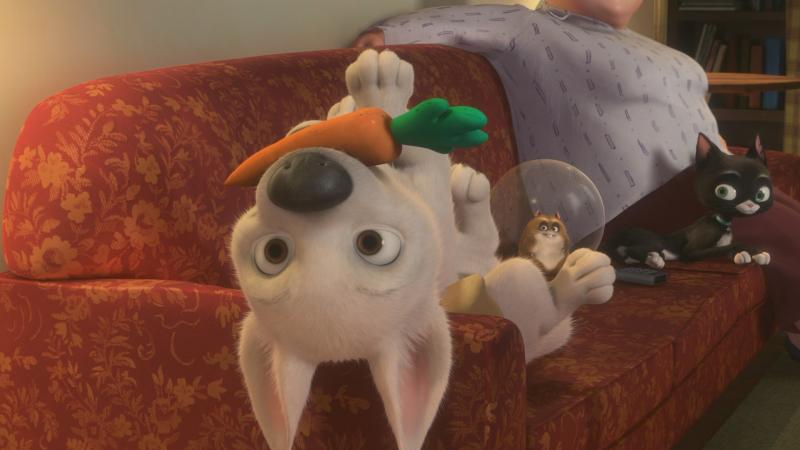 bolt-bd-ss-6.jpg bolt-bd-ss-6.jpg