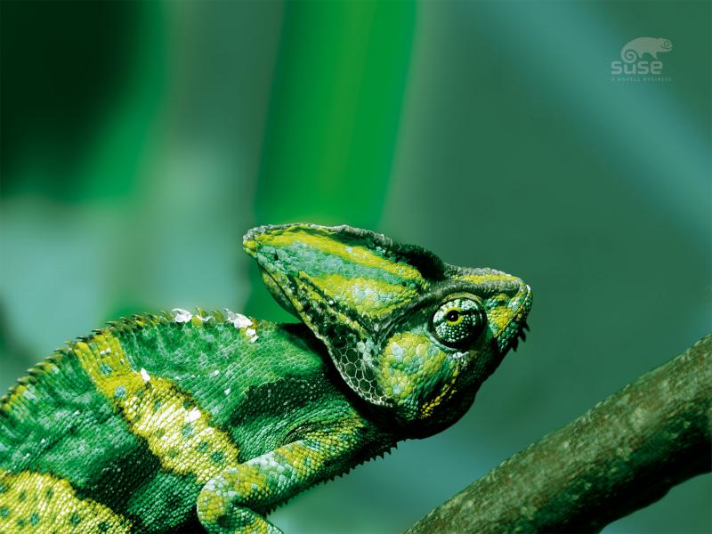 suse10-1600x1200.jpg