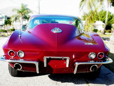 StringRay66_10.jpg StringRay66_10.jpg