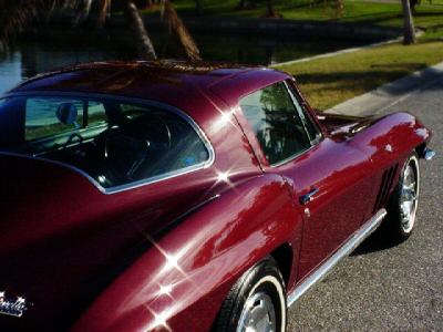 StringRay66_13.jpg StringRay66_13.jpg