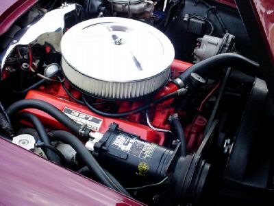 StringRay66_19.jpg StringRay66_19.jpg