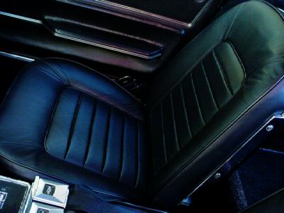 StringRay66_23.jpg StringRay66_23.jpg