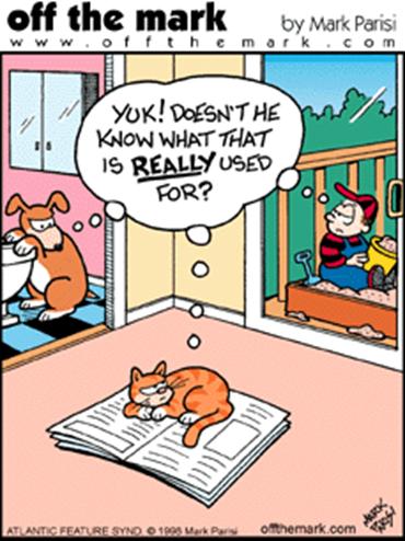 image006.jpg image006.jpg