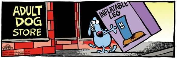 image010.jpg image010.jpg