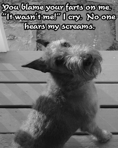 DoggyFarts.jpg