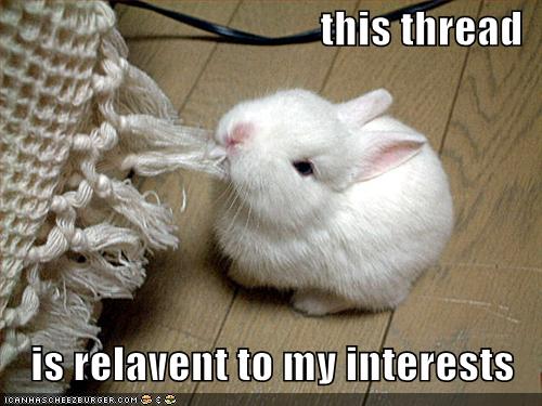 funny-pictures-rabbit-eats-thread.jpg funny-pictures-rabbit-eats-thread.jpg