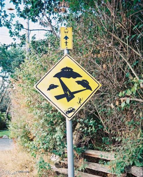 41428pu87_w.jpg 41428pu87_w.jpg