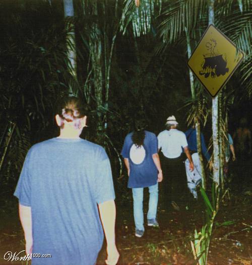 41461P7WT_w.jpg 41461P7WT_w.jpg