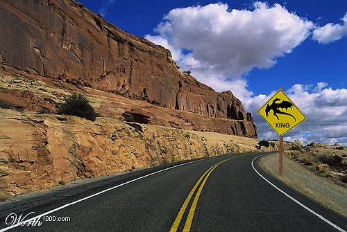 41530g4NK_w.jpg 41530g4NK_w.jpg