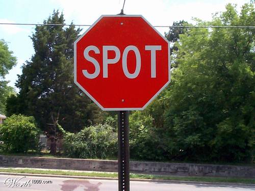 41642wDfc_w.jpg 41642wDfc_w.jpg