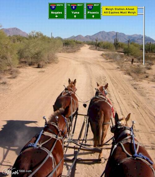 41680n6UR_w.jpg 41680n6UR_w.jpg