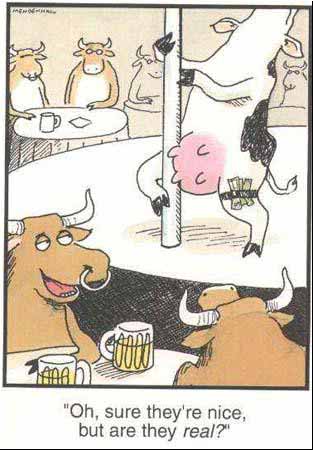 Strippercow.jpg