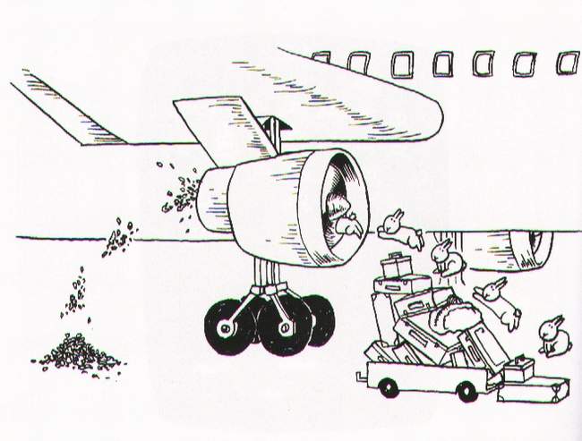 0192wp.jpg 0192wp.jpg