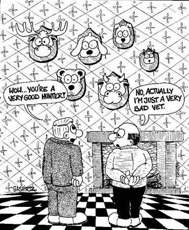 badvetwall.jpg badvetwall.jpg