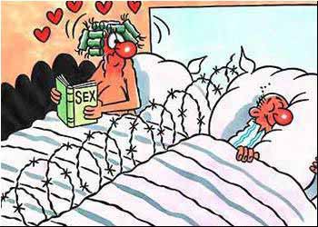 barbwirebed.jpg barbwirebed.jpg