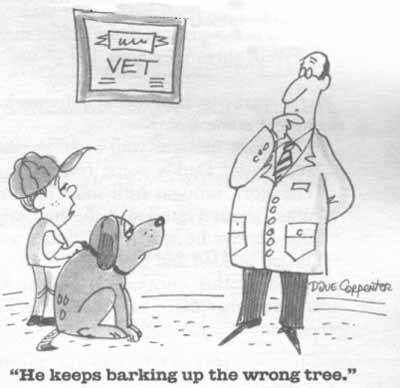 barkwrongtree.jpg