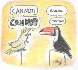 birdargue.jpg birdargue.jpg