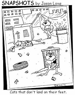 bumcats.jpg bumcats.jpg