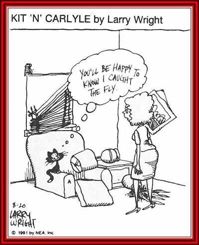 catchfly.jpg catchfly.jpg