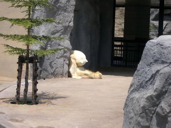 sleep3.jpg sleep3.jpg