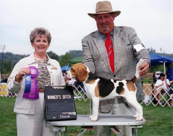 1107_bitch.jpg 1107_bitch.jpg