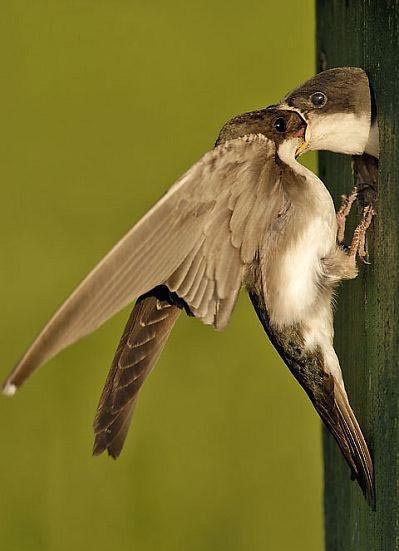 1114_obed.jpg 1114_obed.jpg