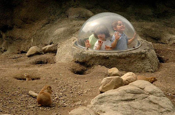 1214_kinder.jpg 1214_kinder.jpg