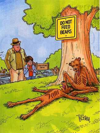donotfeedbears.jpg