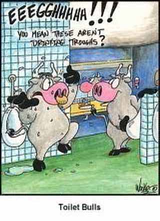 drinkingbowl.jpg drinkingbowl.jpg