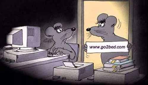 gotobeddotcom.jpg gotobeddotcom.jpg