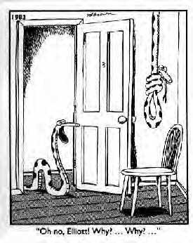 hungsnake.jpg hungsnake.jpg