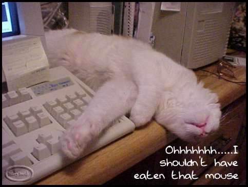 image011.jpg image011.jpg