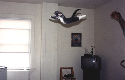 lookma1.jpg lookma1.jpg