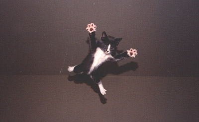 lookma2.jpg lookma2.jpg