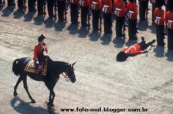 matador.jpg matador.jpg