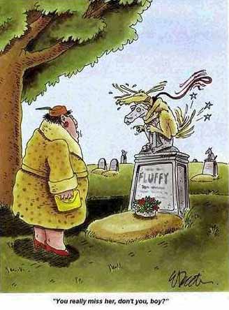 missfluffy.jpg missfluffy.jpg