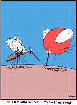 mosartery.jpg mosartery.jpg