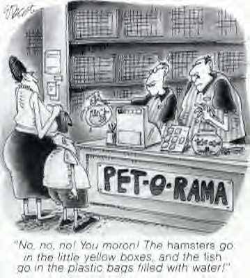 petorama.jpg petorama.jpg