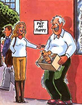 petpuppy.jpg petpuppy.jpg