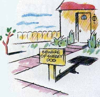 sneakydog.jpg sneakydog.jpg