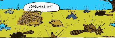 sneezeporku.jpg sneezeporku.jpg