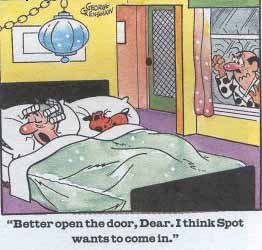 spotinbed.jpg spotinbed.jpg